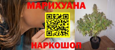 каннабис Славгород