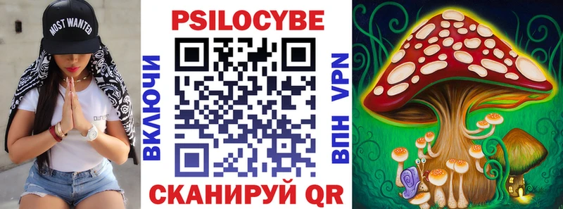 Галлюциногенные грибы Cubensis закладка Алексеевка