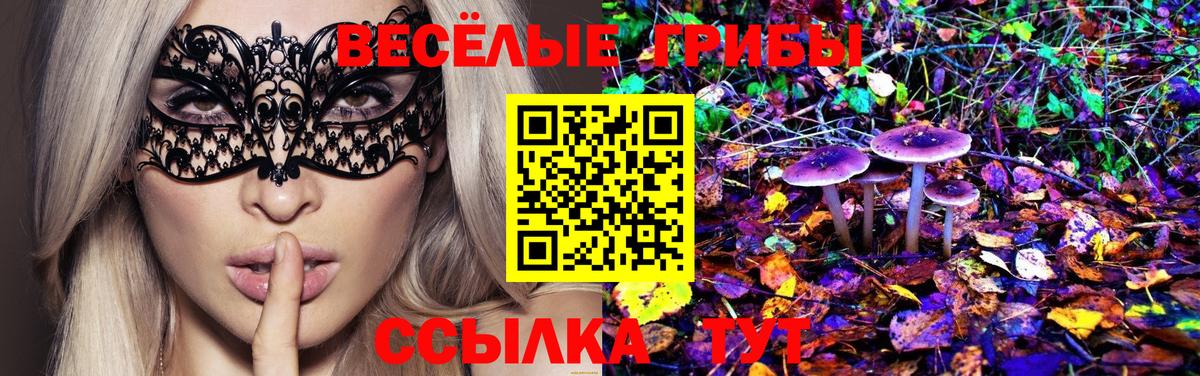 Галлюциногенные грибы Psilocybe Алексеевка