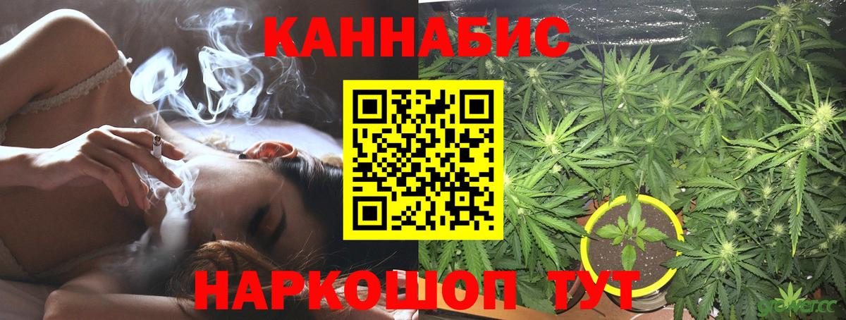 Конопля гибрид Алексеевка